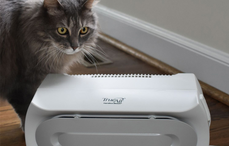 Can Home Air Purifiers Remove Pet Hair And Pet Dander