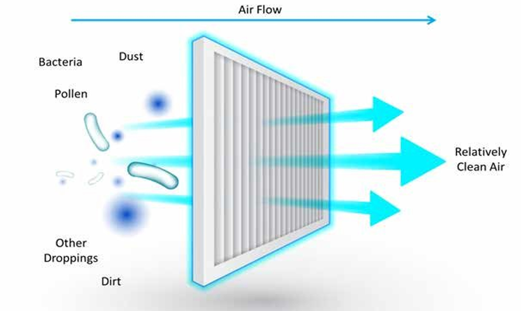 What Types Of Pollutants Can A Home Air Purifier Remove