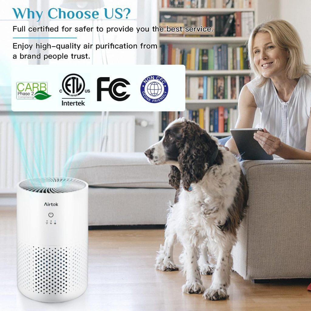 Dayette Air Purifier