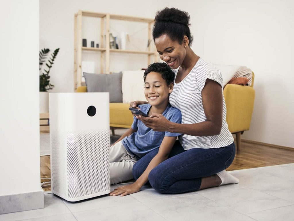 Are There Any Government Regulations Or Standards For Air Purifier Performance?