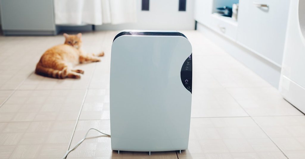 Are There Any Health Risks Associated With Using An Air Purifier?