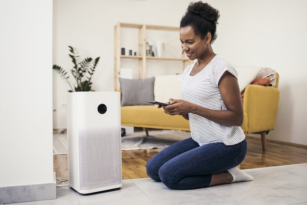 Can Air Purifiers Help With Reducing Pet Allergies Even If I Have Multiple Pets?