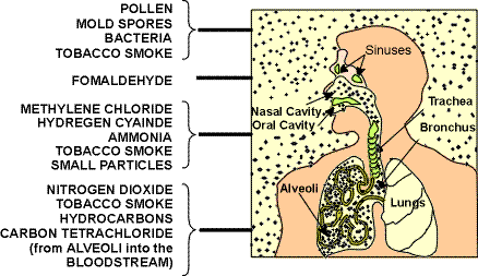 Do Air Purifiers Use A Lot Of Electricity And Will They Significantly Increase My Energy Bill