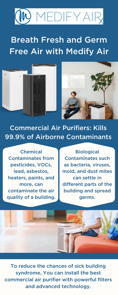 Can Air Purifiers Help With Reducing Symptoms Of Sick Building Syndrome?