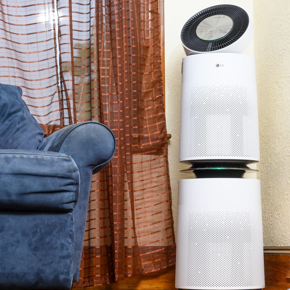 Can Air Purifiers Help With Seasonal Allergies Caused By Outdoor Pollen?