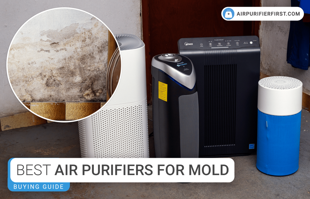 Do Air Purifiers Eliminate Mold Spores From The Air?