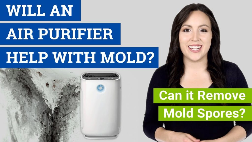 Do Air Purifiers Eliminate Mold Spores From The Air?