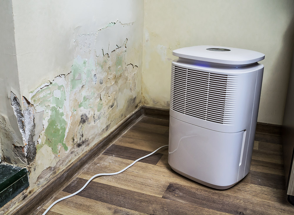 Air Purifier For Radon