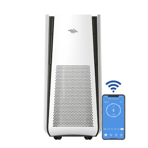 air purifiers