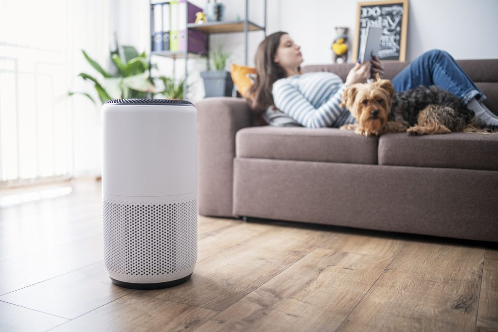 Do Air Purifiers Have Any Impact On Reducing Household Odors From Cooking Or Pets?