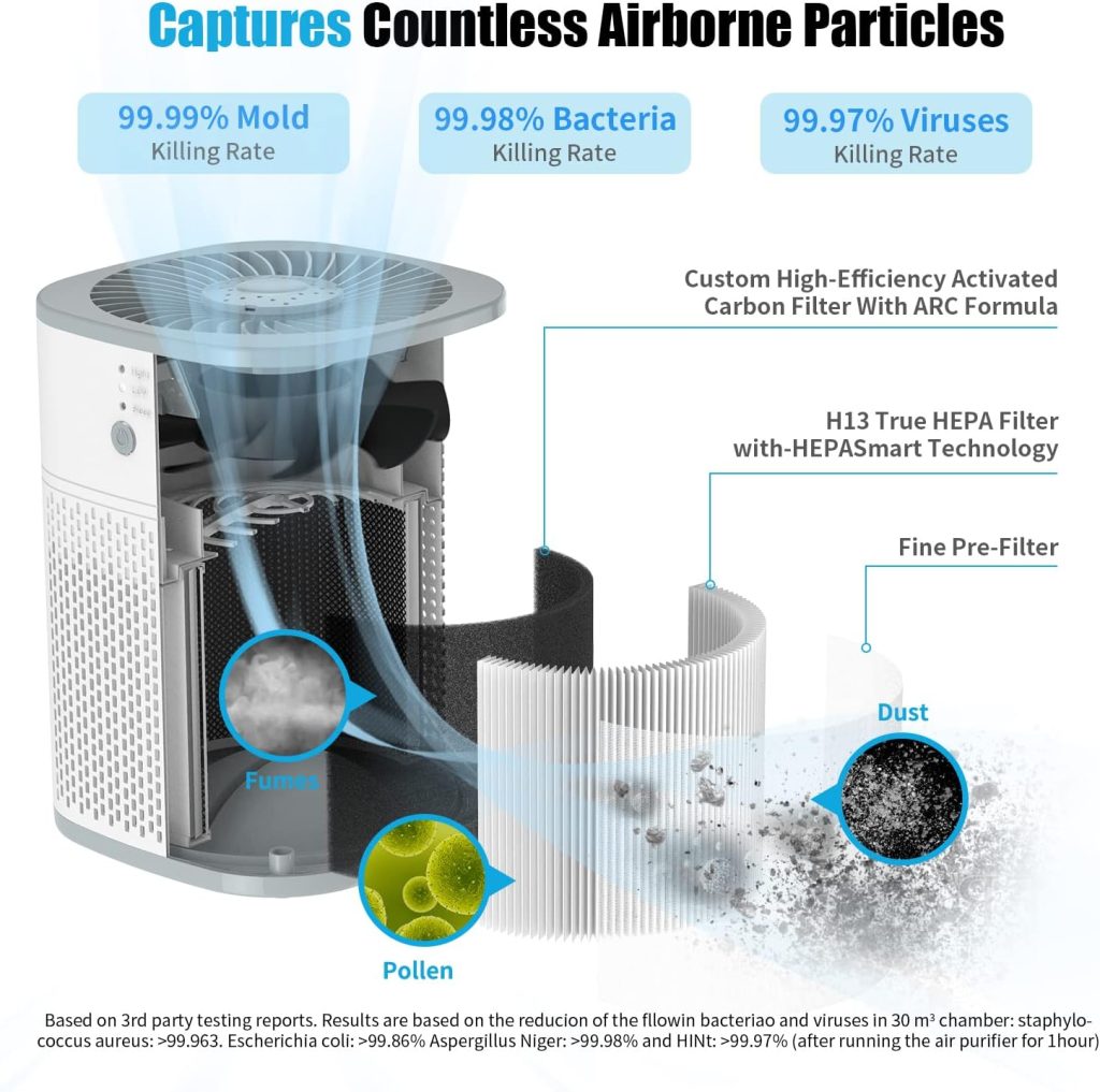 H13 True HEPA Filter