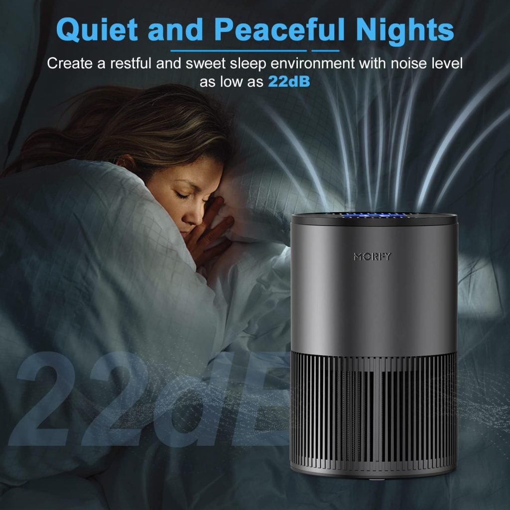 MORFY Air Purifiers for Bedroom Home with H13 True HEPA Air Filter for Smoke, Dust, Pet Dander, Odors, Pollen, Quiet Air Cleaner(Metallic black + gray)
