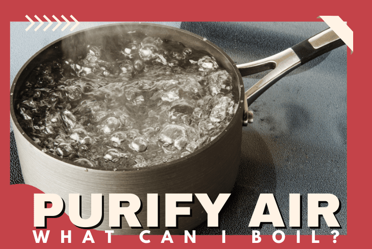 What Can You Boil To Purify Air?