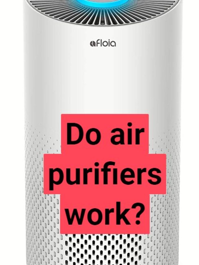 Do air purifiers work